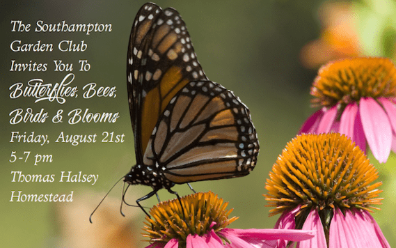 Butterflies, Bees, Birds & Blooms