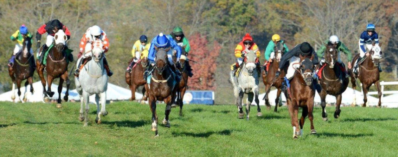 Racing – Great Meadow