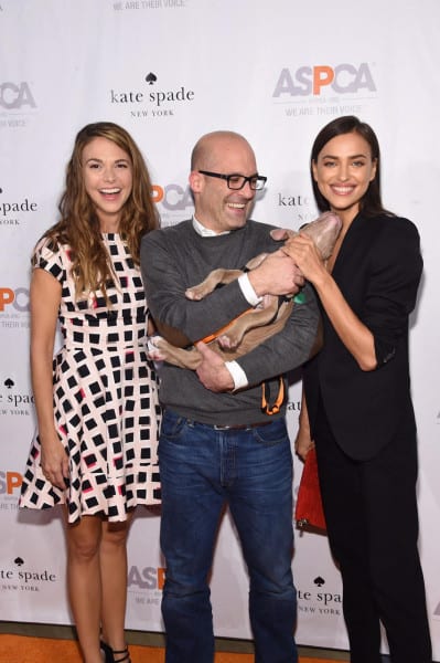 attends the ASPCA Young Friends benefit at IAC Building on October 15, 2015 in New York City.