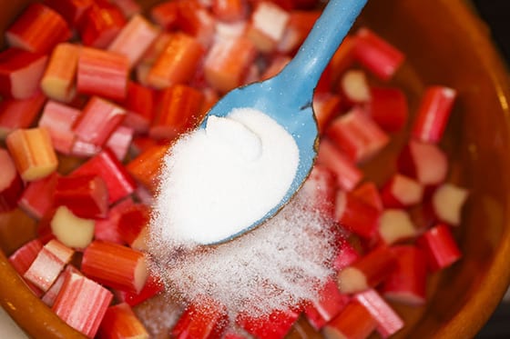 Aperture Spring Party and Dinner