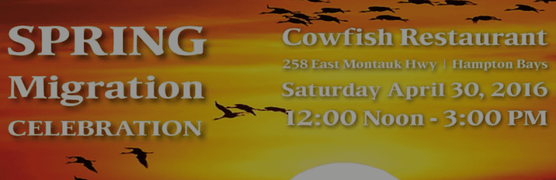 Spring Migration Celebration