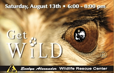 Summer Benefit – Evelyn Alexander