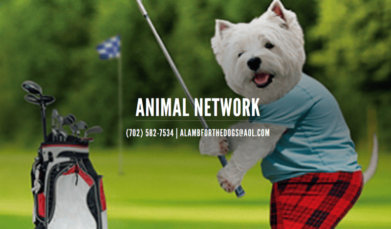 Play Fore Paws3rd Annual Golf Tournament