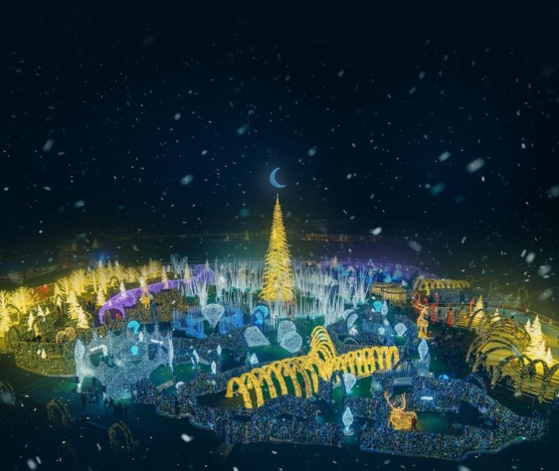 Christmas Light Maze and Market – The Great Search