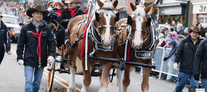 Christmas in Middleburg