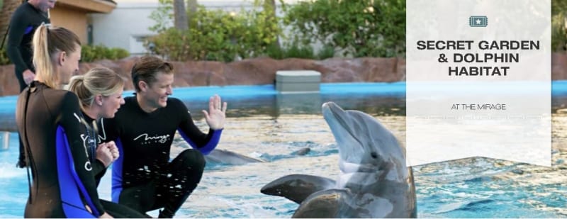 VYP Anniversary Mixer at Secret Garden & Dolphin Habitat