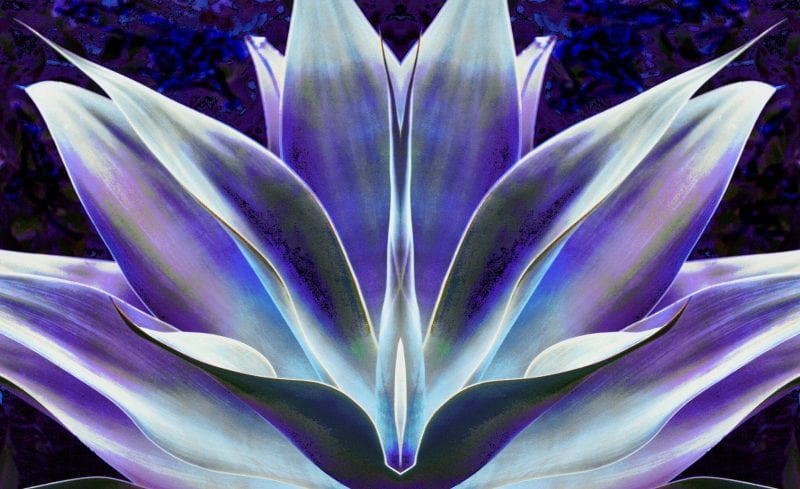 Coronado Ferry Landing Art Walk