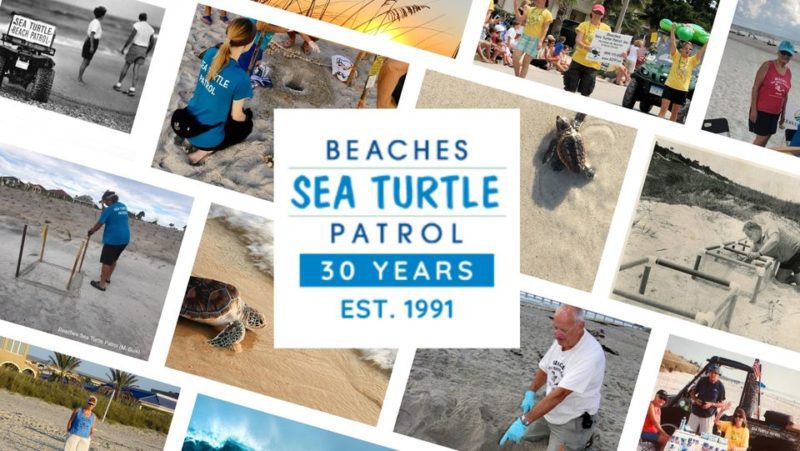 30th Anniversary – Beaches Sea Turtle Patrol