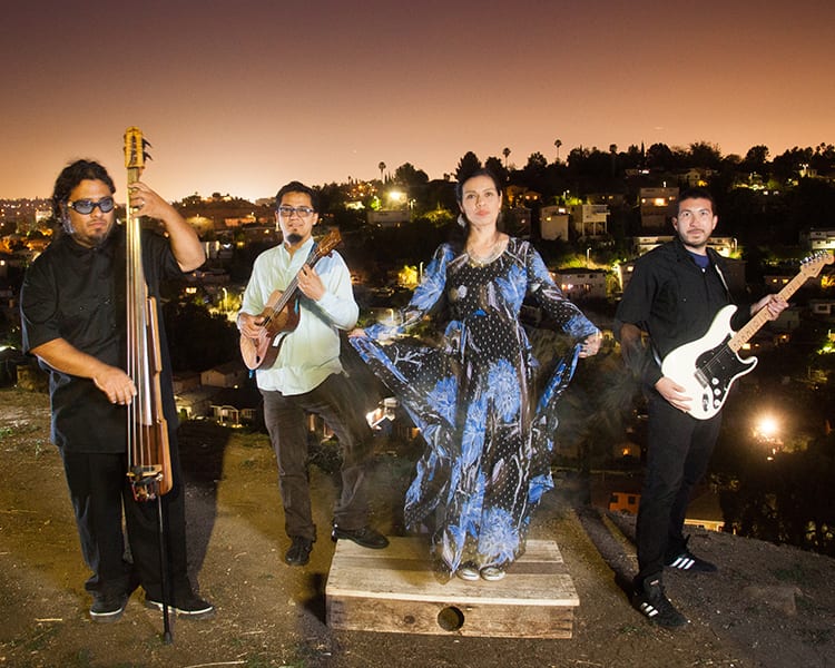Cambalache: Chicano-Jarocho Music of Mexico Workshop