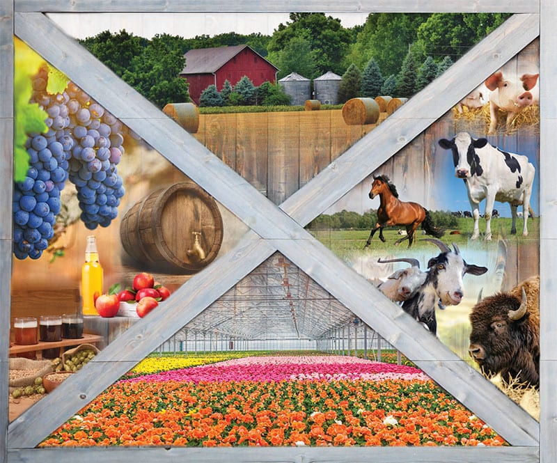 Culpeper Harvest Days 2020