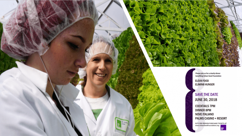 Elev8 Food – Elimin8 Hunger