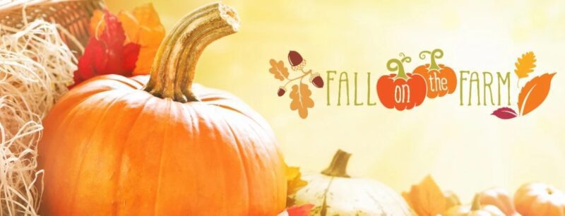 Fall on the Farm