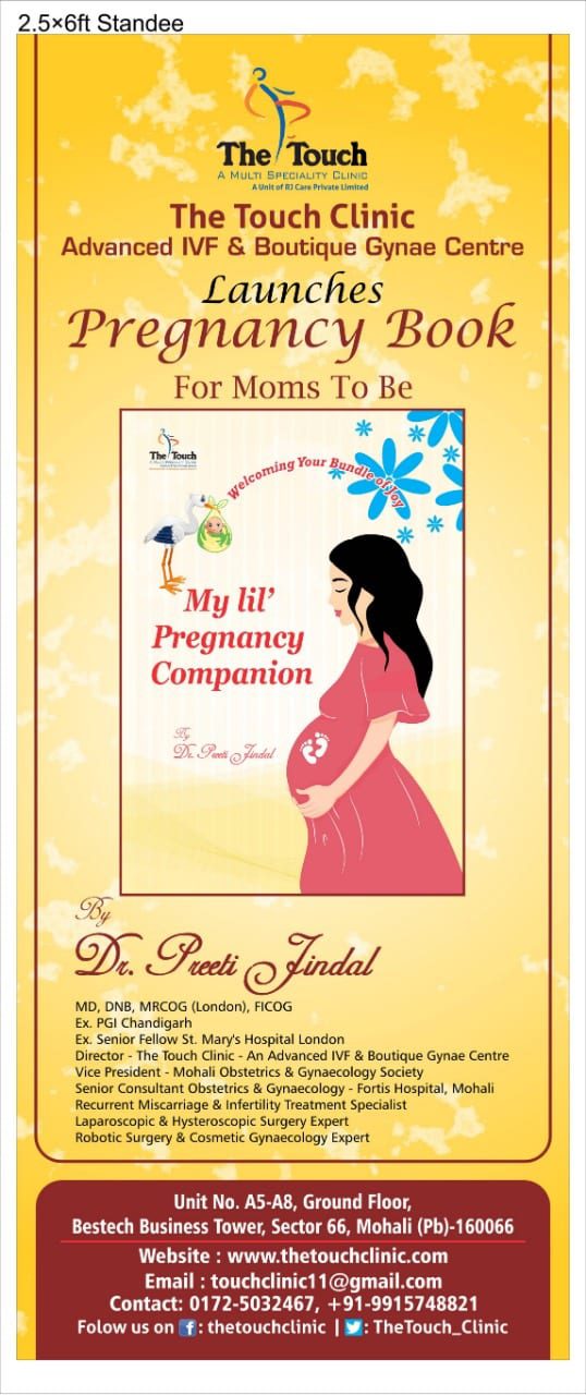 My lil’ Pregnancy Companion