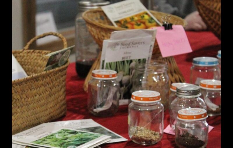 National Seed Swap Day