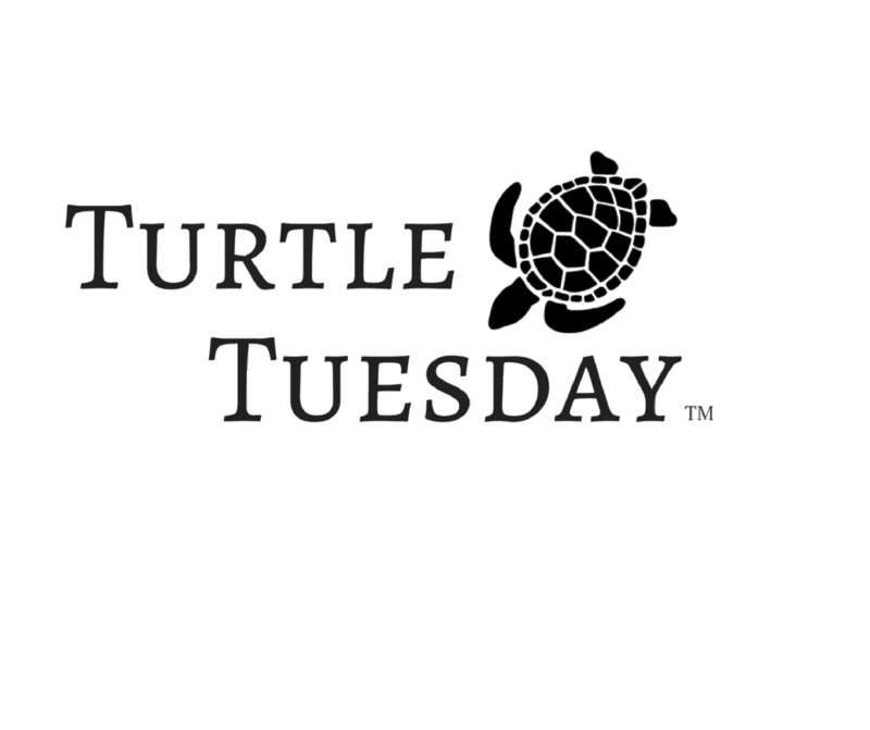 Turtle Tuesday