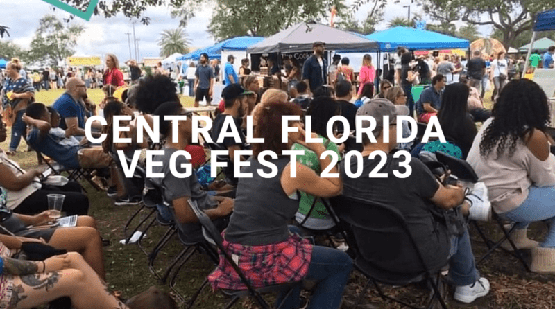 Veg Fest 2023