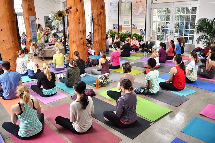 Practice With Love Pop Up Yoga at the U.S. Botanic Garden